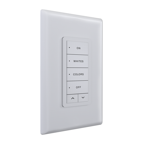 fxremotecontrol4brl(4-button+raise/lower)